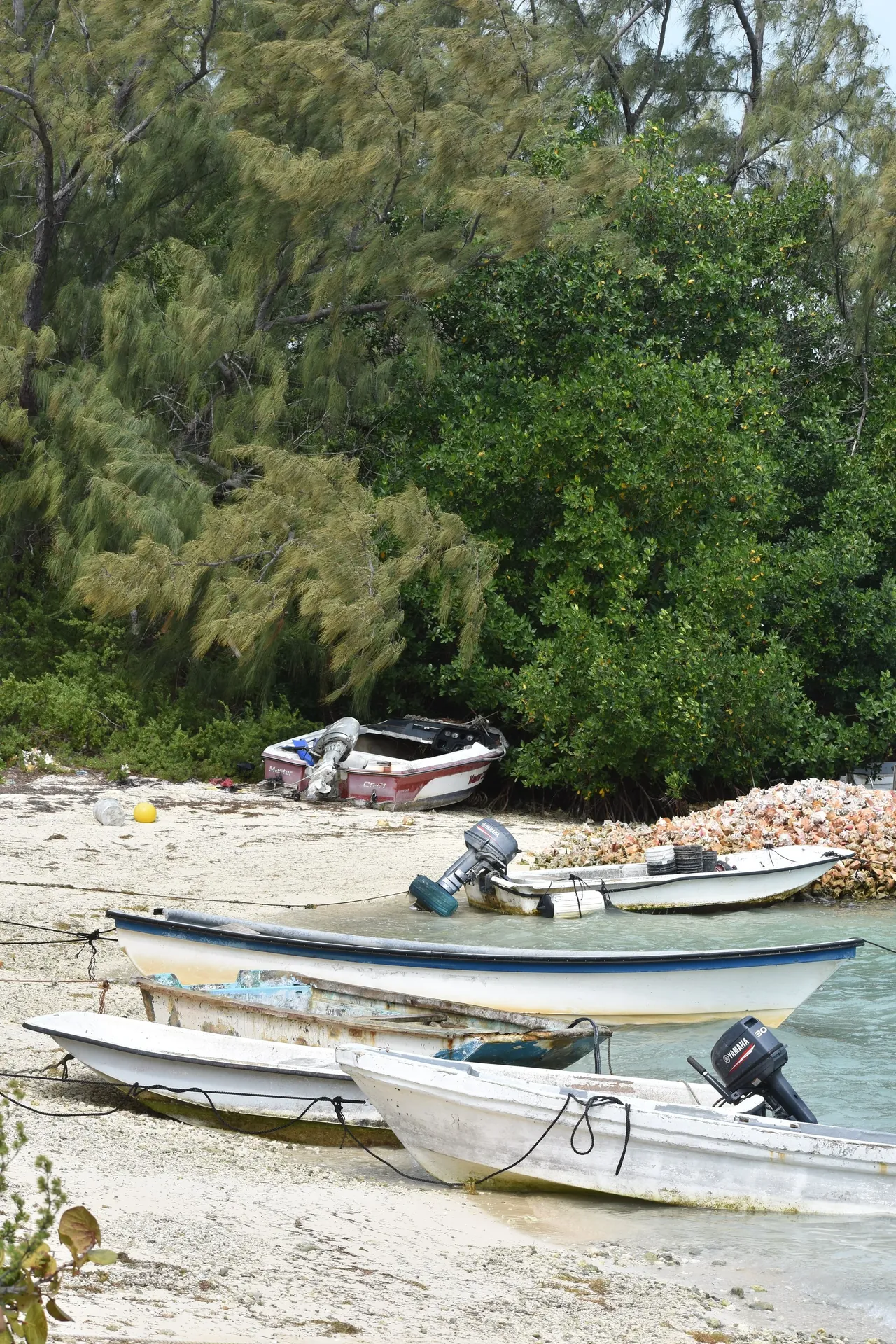 Several weathered small boats resting on a sandy shore beside piles of conch shells
